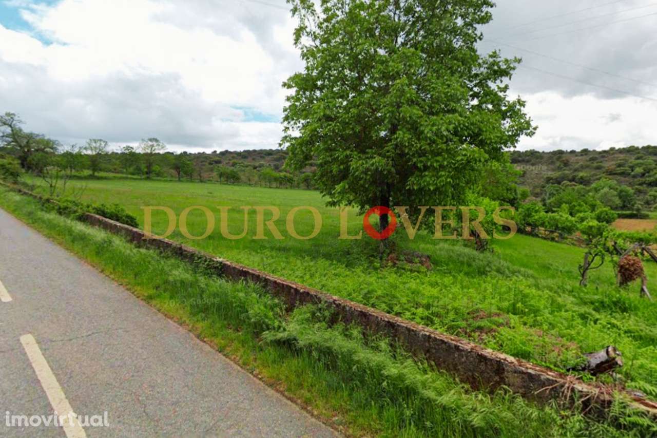 Terreno Agrícola para venda em Conlelas, Bragança - Grande imagem: 4/9