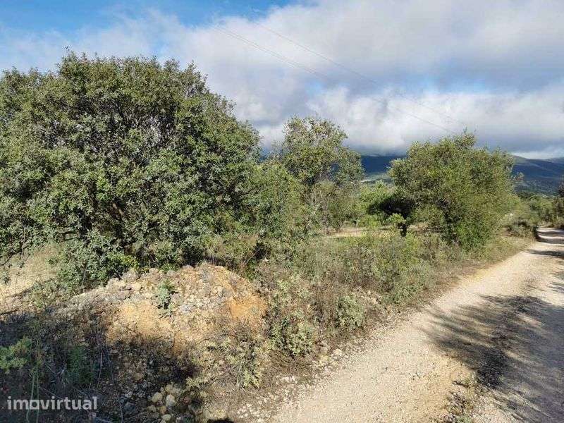 Terreno em Pedrogão