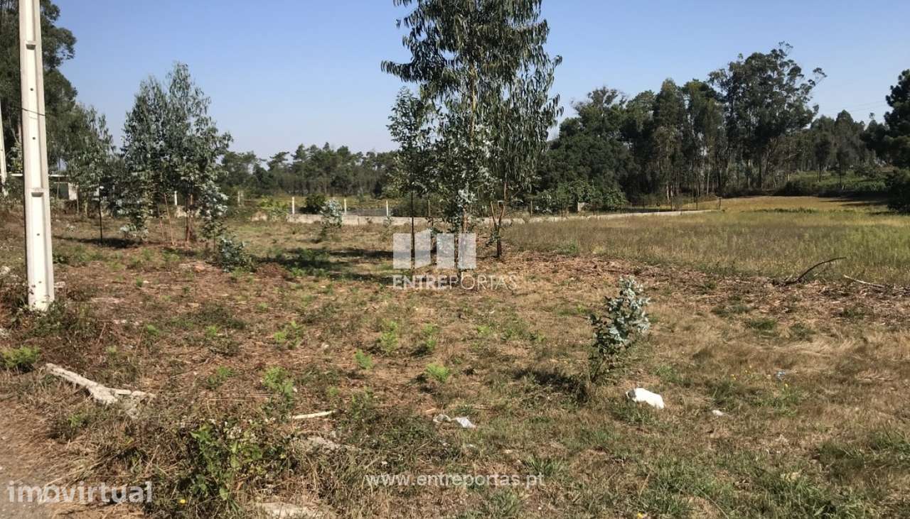 Venda de Terreno agrícola com poço, Barqueiros, Barcelos - Grande imagem: 2/2