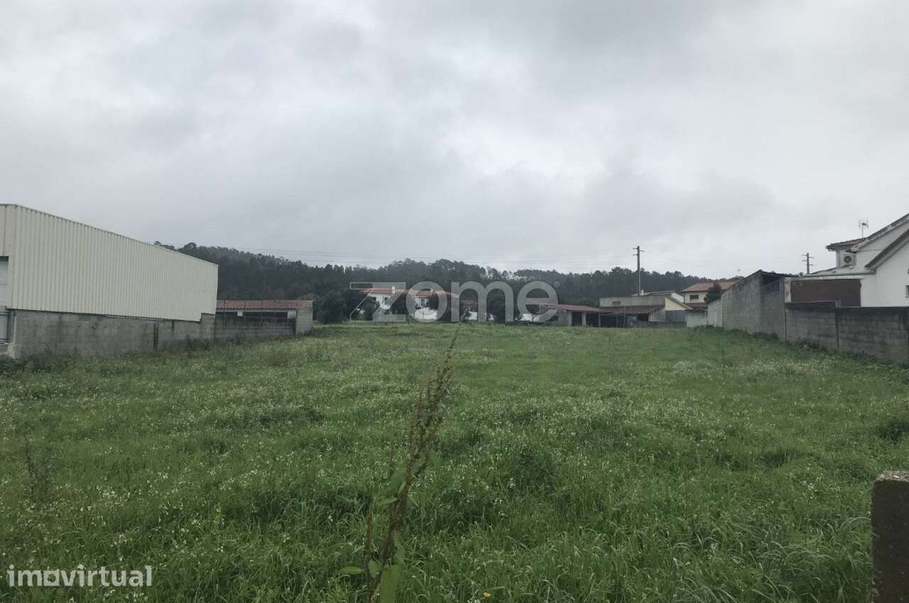 Terreno para Construção | Ortigosa - Grande imagem: 3/24