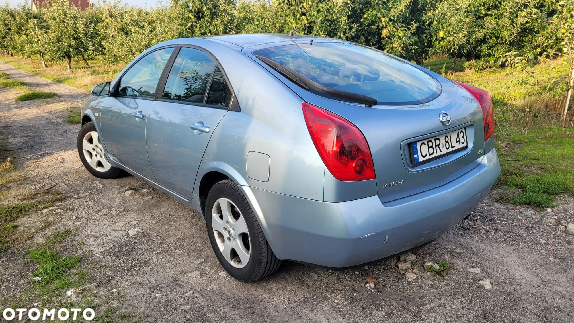 Nissan Primera - 2