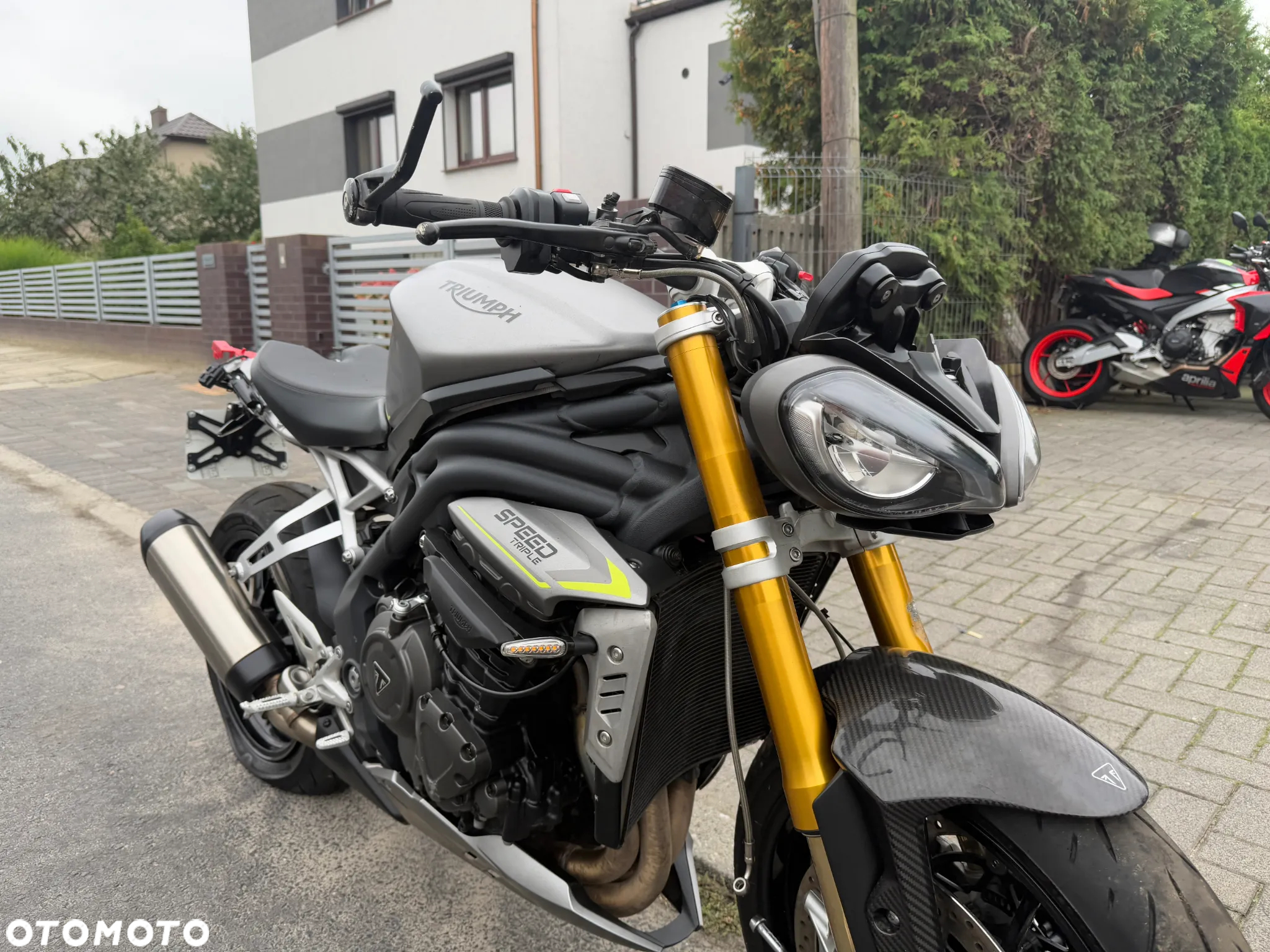 Triumph Speed Triple - 15