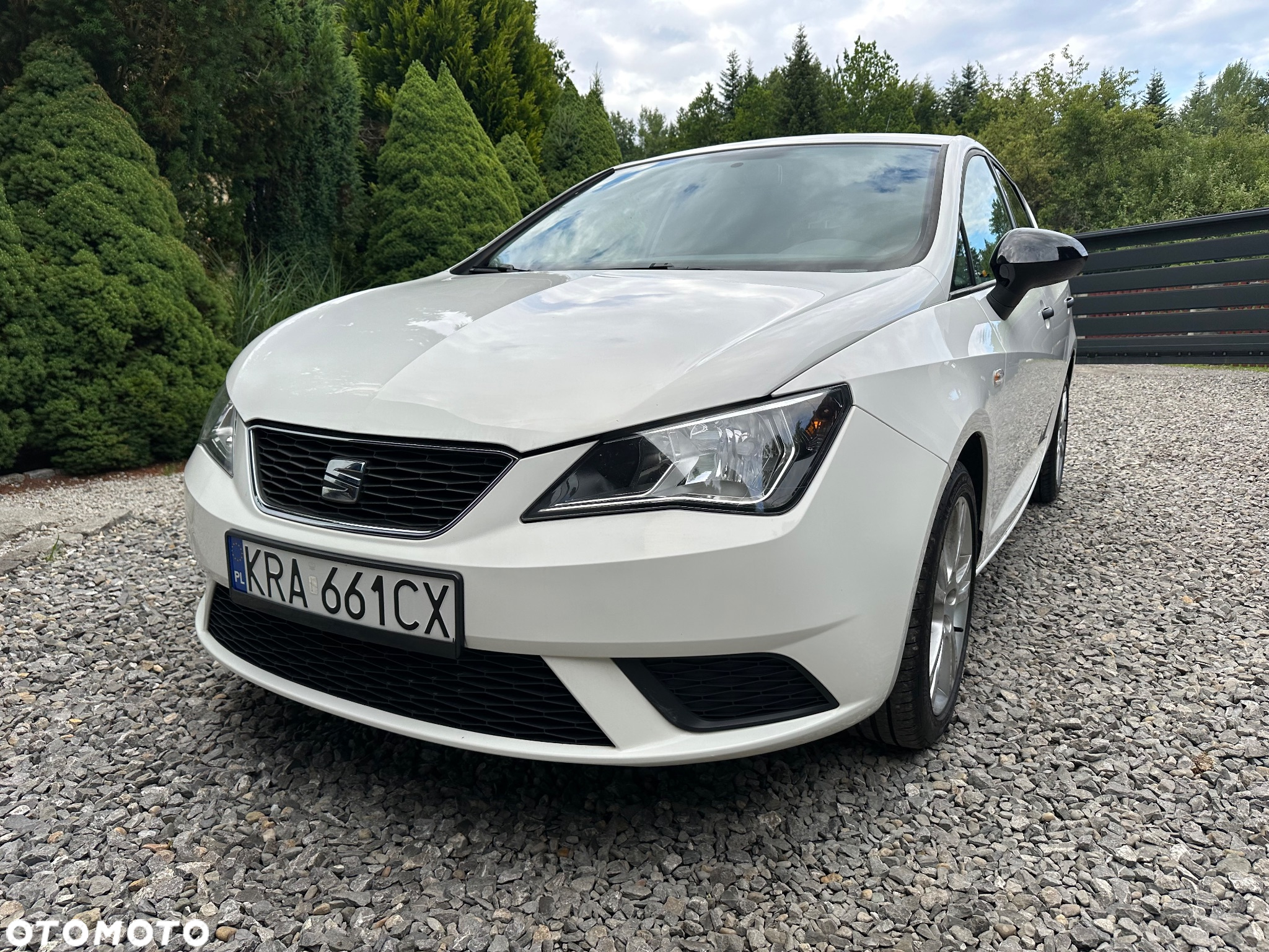 Seat Ibiza - 23