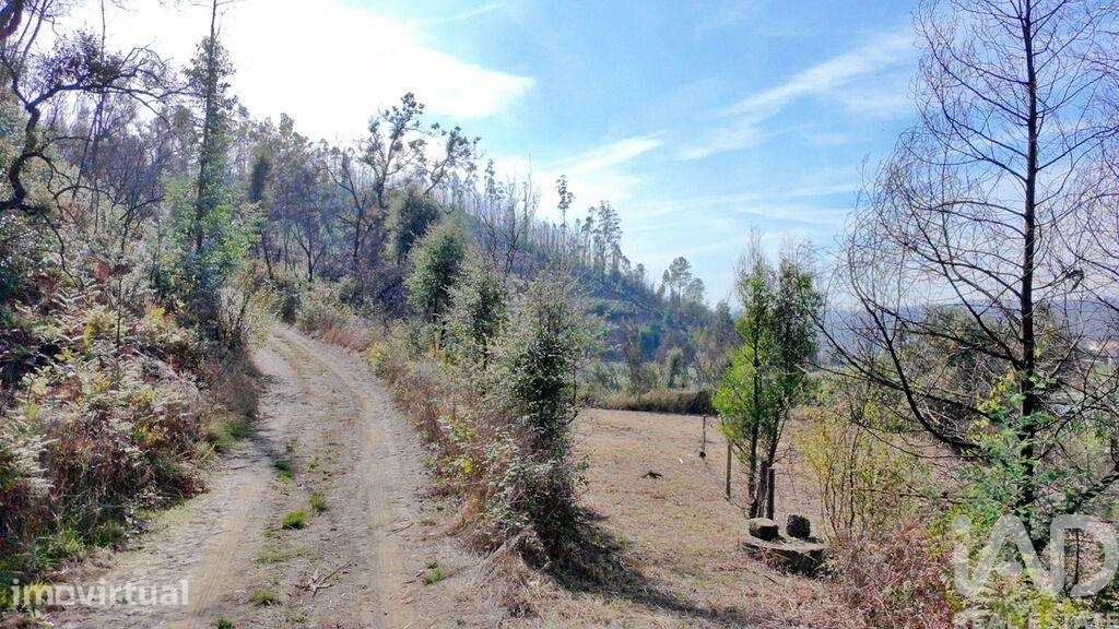 Terreno em Foz do Sousa e Covelo de 3200,00 m2 - Grande imagem: 4/25