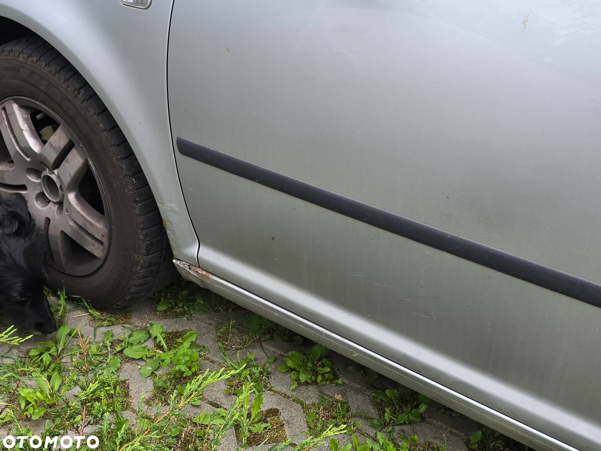 Volkswagen Golf IV 1.4 16V Trendline - 15