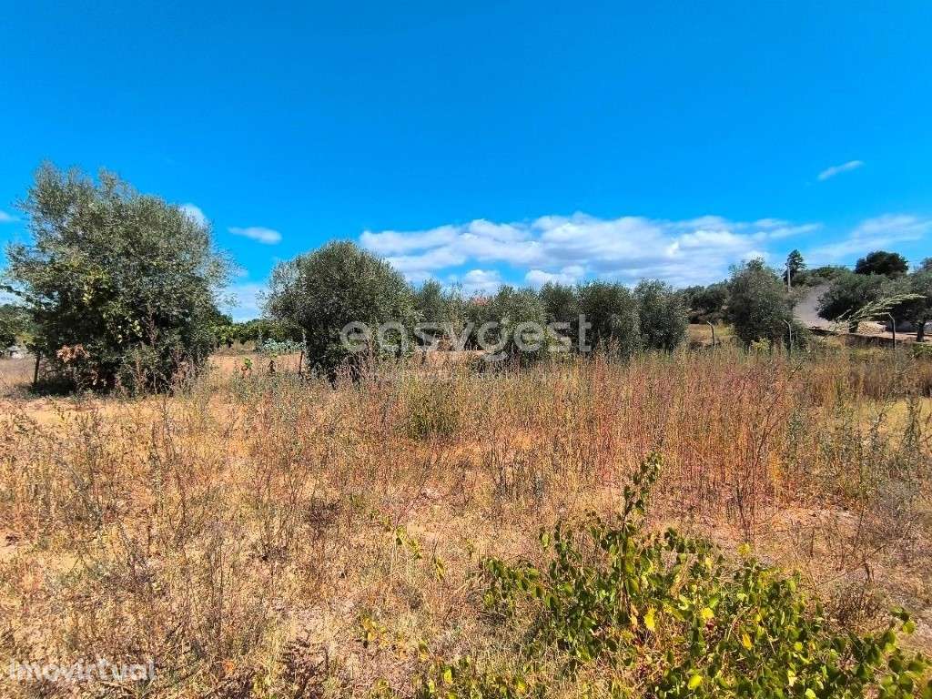 Moradia com terreno e poço de água em Mouriscas - Abrantes - Grande imagem: 4/15