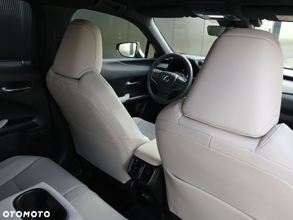 Lexus UX 300h F Sport Design AWD - 29
