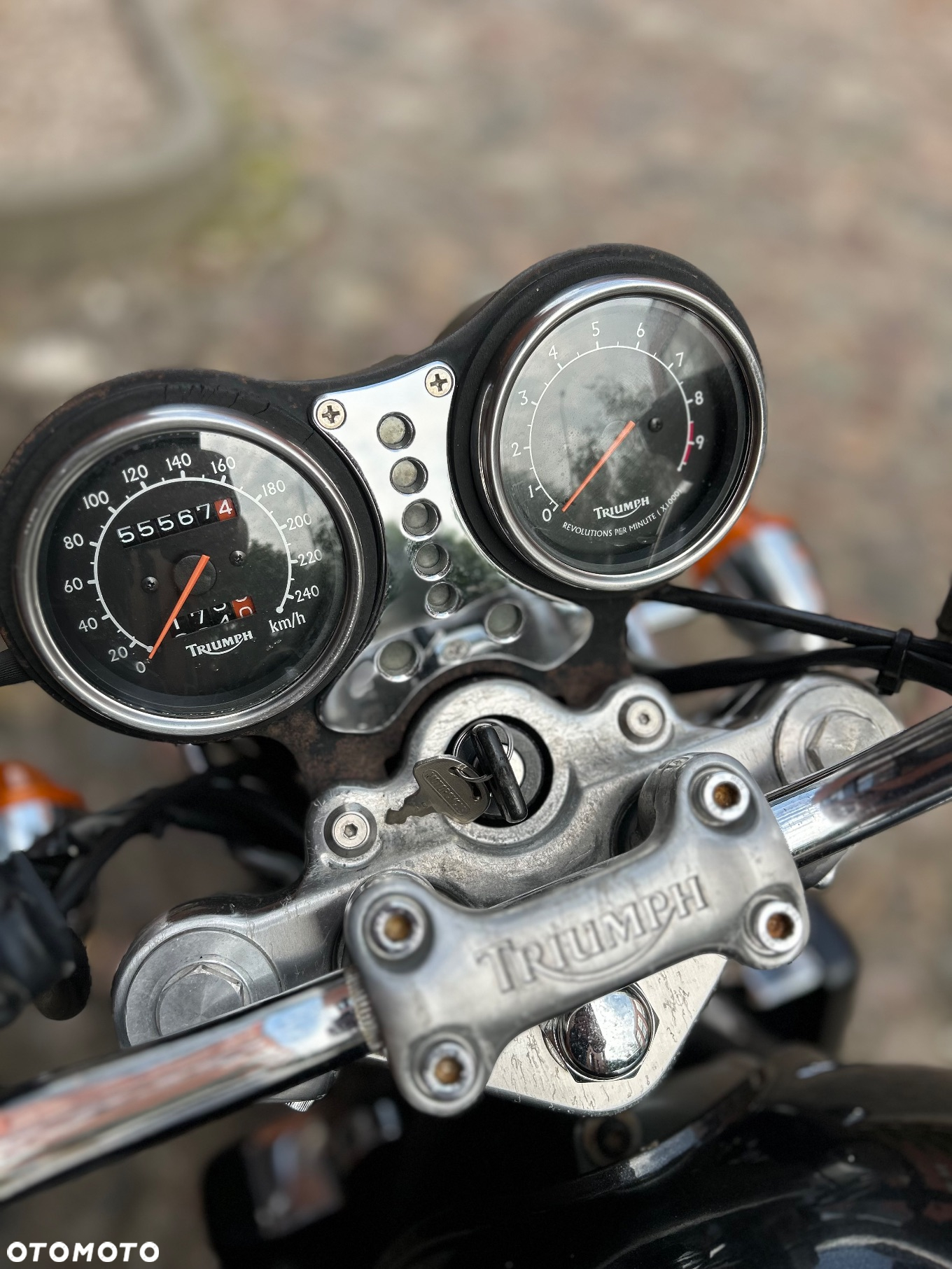Triumph Legend TT - 13