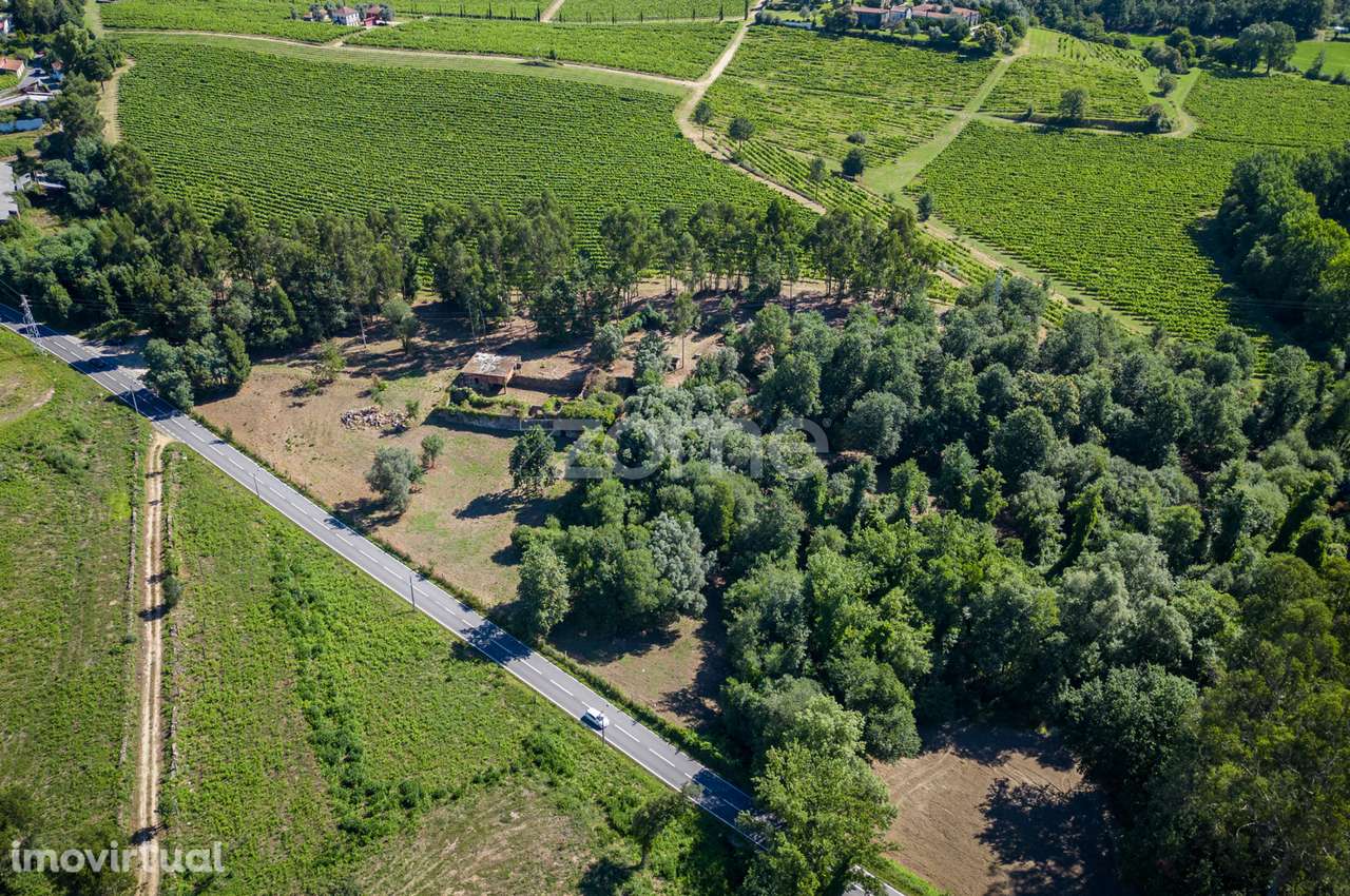 Quinta em ruina c/ 24.650m2 de terreno em Arcozelo, Vila Verde - Grande imagem: 2/32