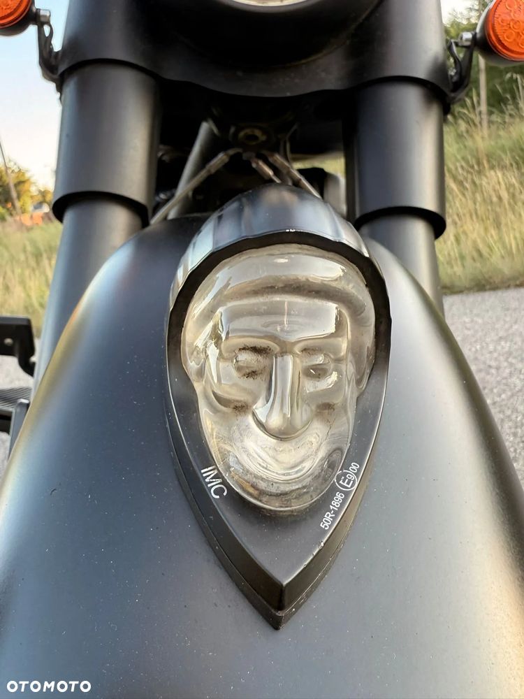Indian Chief - 14