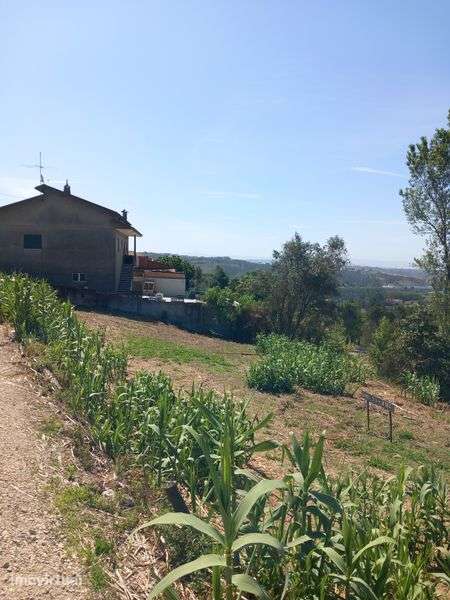 Vendo terreno urbano 1300m2 Trouxemil - Grande imagem: 3/5