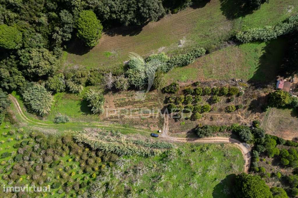 Terreno em Ademas, perto da Lagoa de Santo André - Grande imagem: 3/16