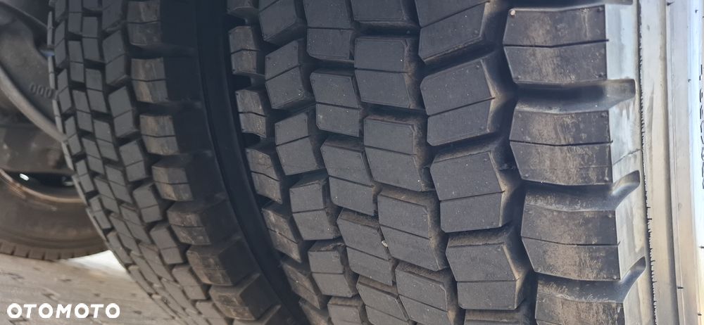 DAF XG+ - 12