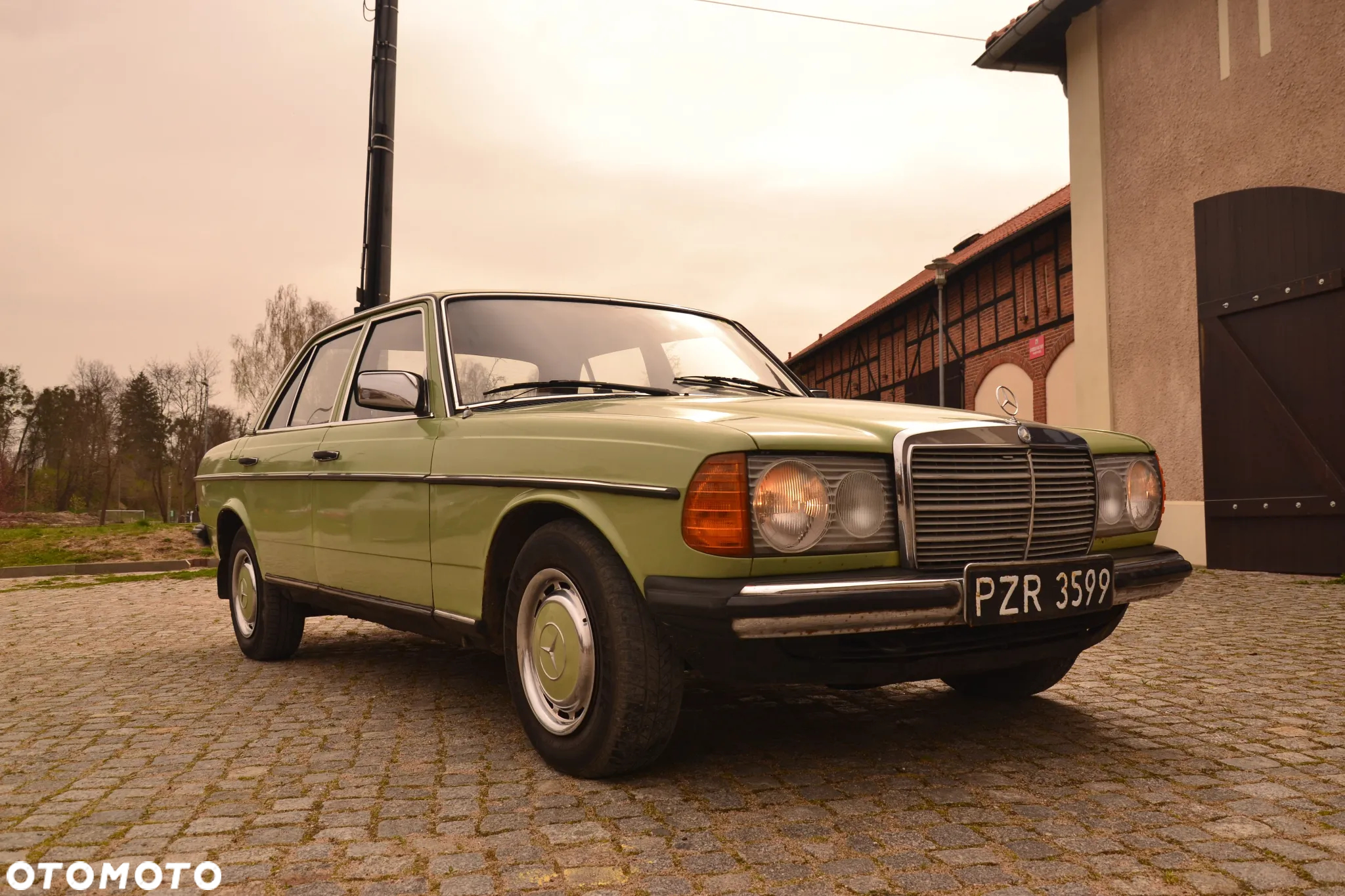 Mercedes-Benz W123 - 6