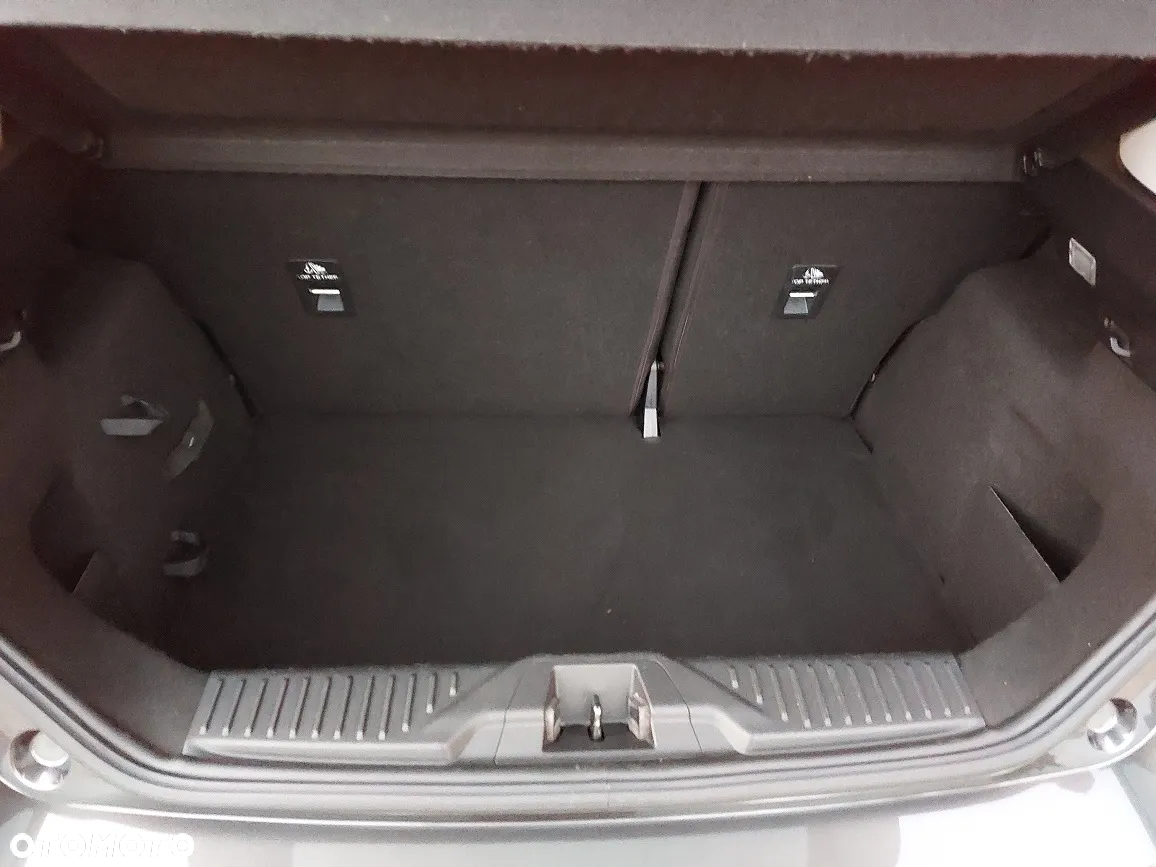 Ford Fiesta - 31