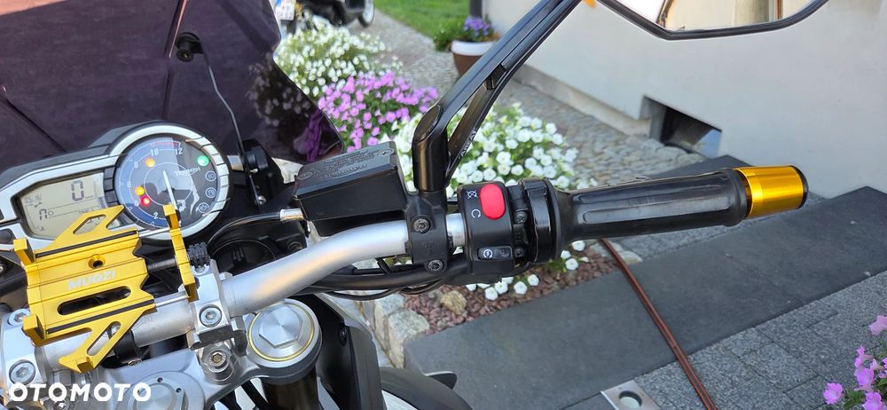 Triumph Tiger - 17