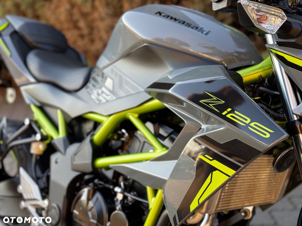 Kawasaki Z - 17