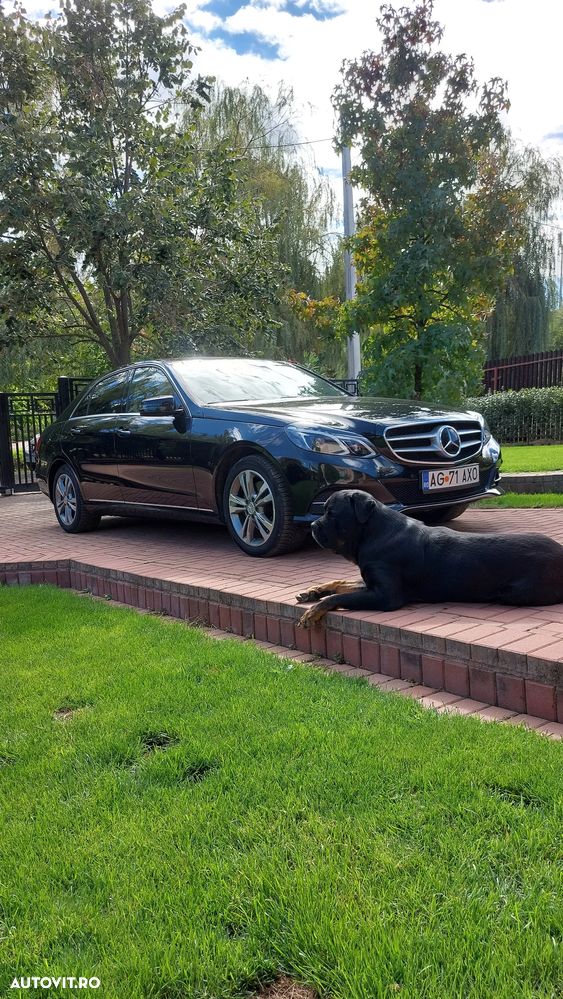 Mercedes-Benz E 300 BlueTEC HYBRID Aut. - 17
