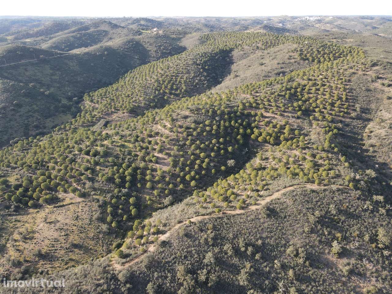 Terrenos rústicos Santa Cruz - Grande imagem: 5/10