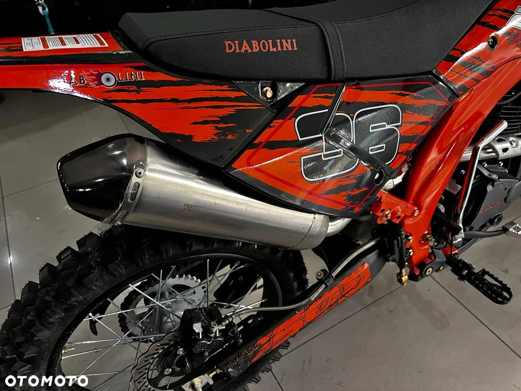 Diabolini Inny - 14