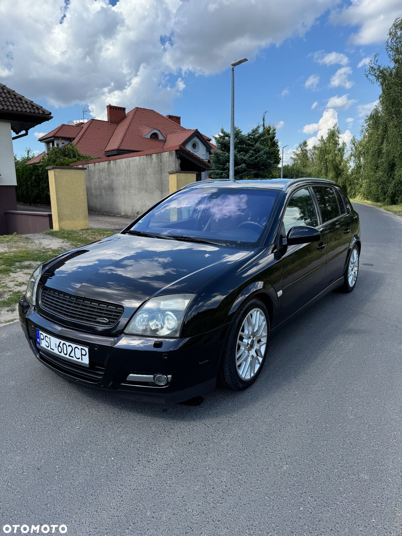Opel Signum 1.9 CDTI Sport - 1