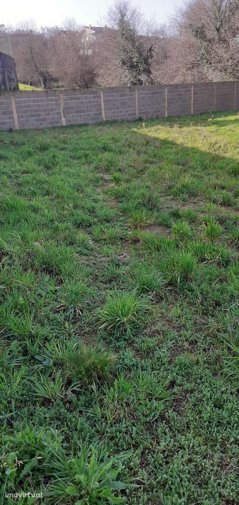 Terreno urbano nas Caldas de S. Jorge - Grande imagem: 2/15