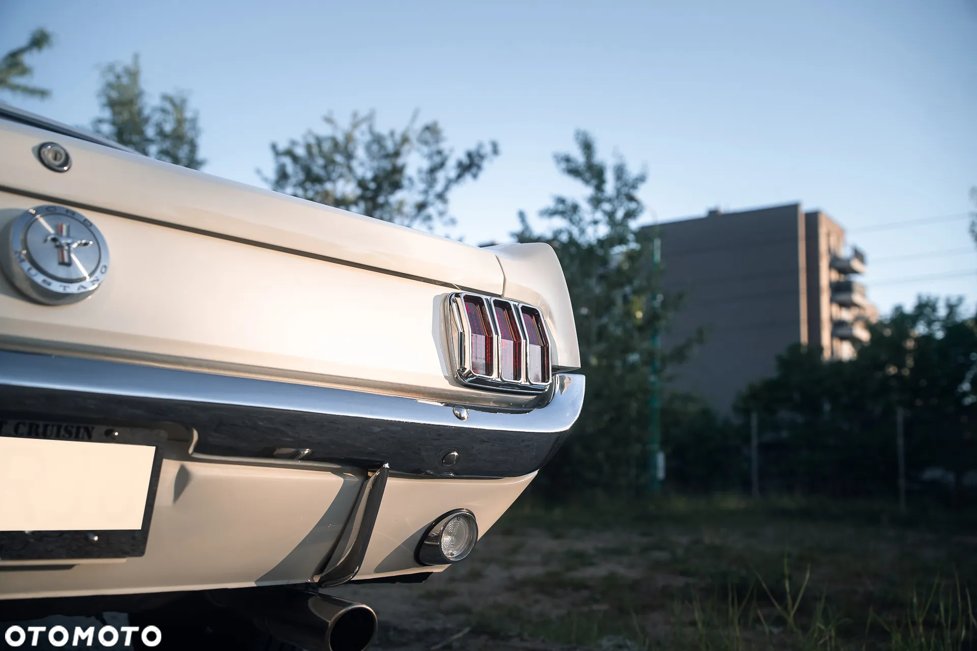Ford Mustang - 9