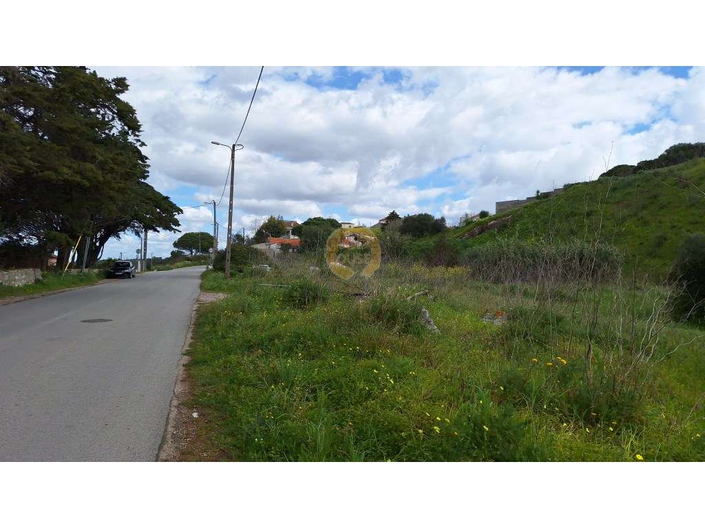 Oportunidade de Investimento: Terreno Rústico em Zambujal - Grande imagem: 3/7