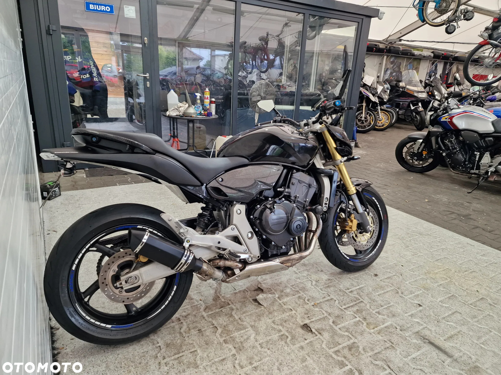 Honda Hornet - 19