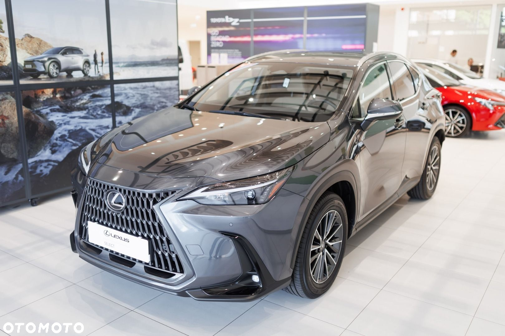 Lexus NX - 11