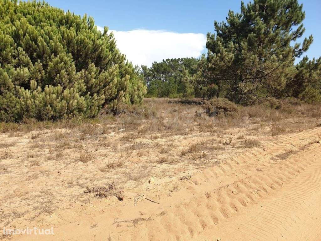 Terreno Rústico em Almograve com 5000m2 5Min da praia do cão - Grande imagem: 5/5