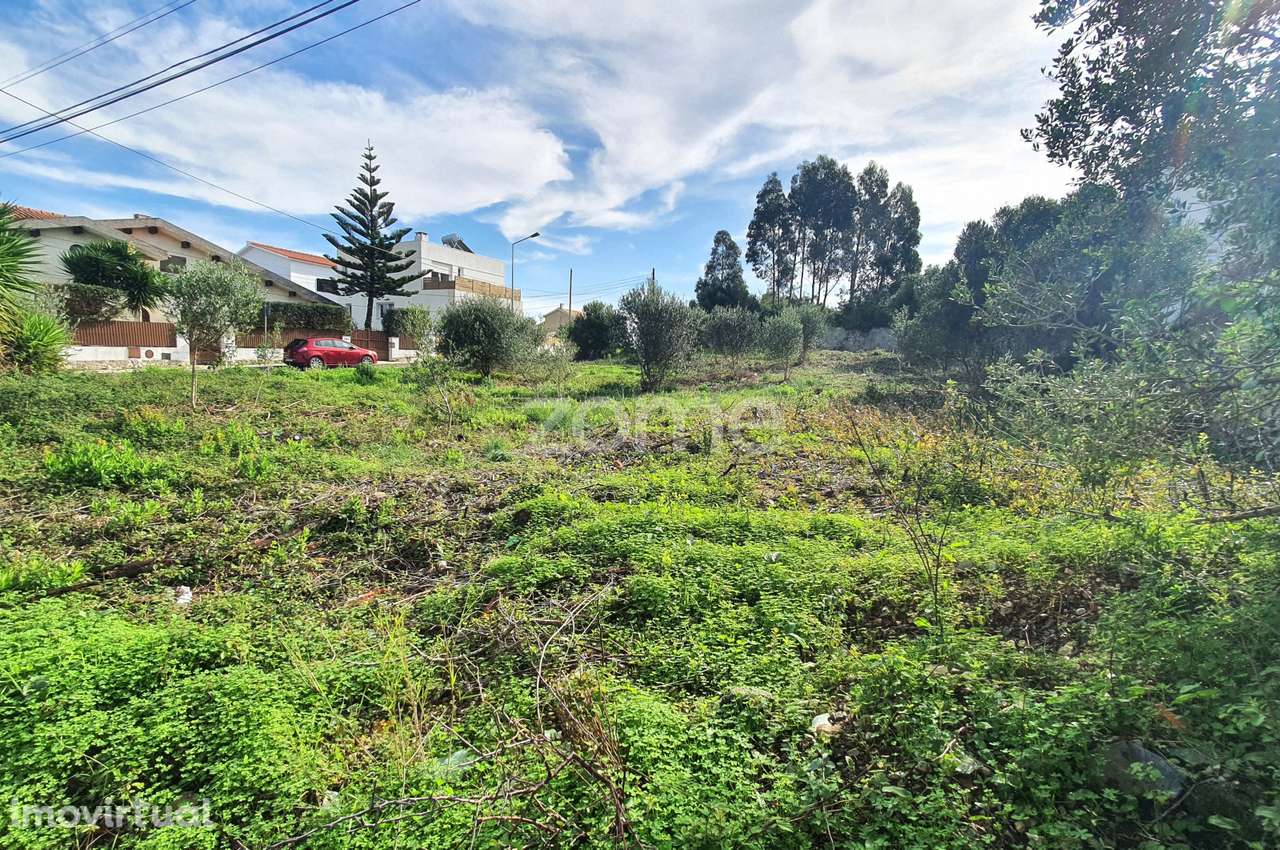 Excelente terreno para construção de moradias - Grande imagem: 4/6