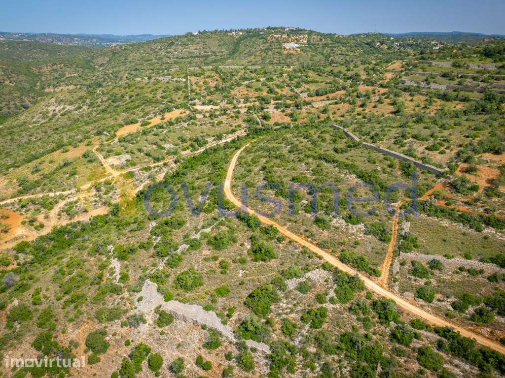 Terreno Rústico com 6000m2 com Vista Panorâmica sobre o Campo e o M... - Grande imagem: 5/24