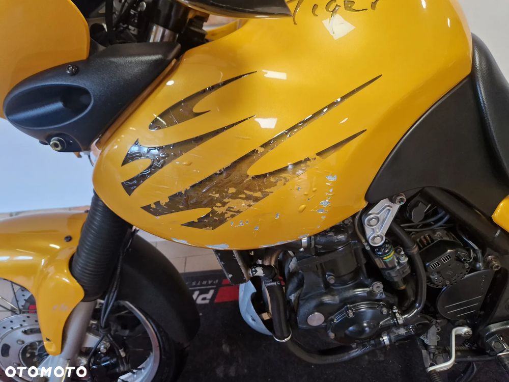 Triumph Tiger - 33