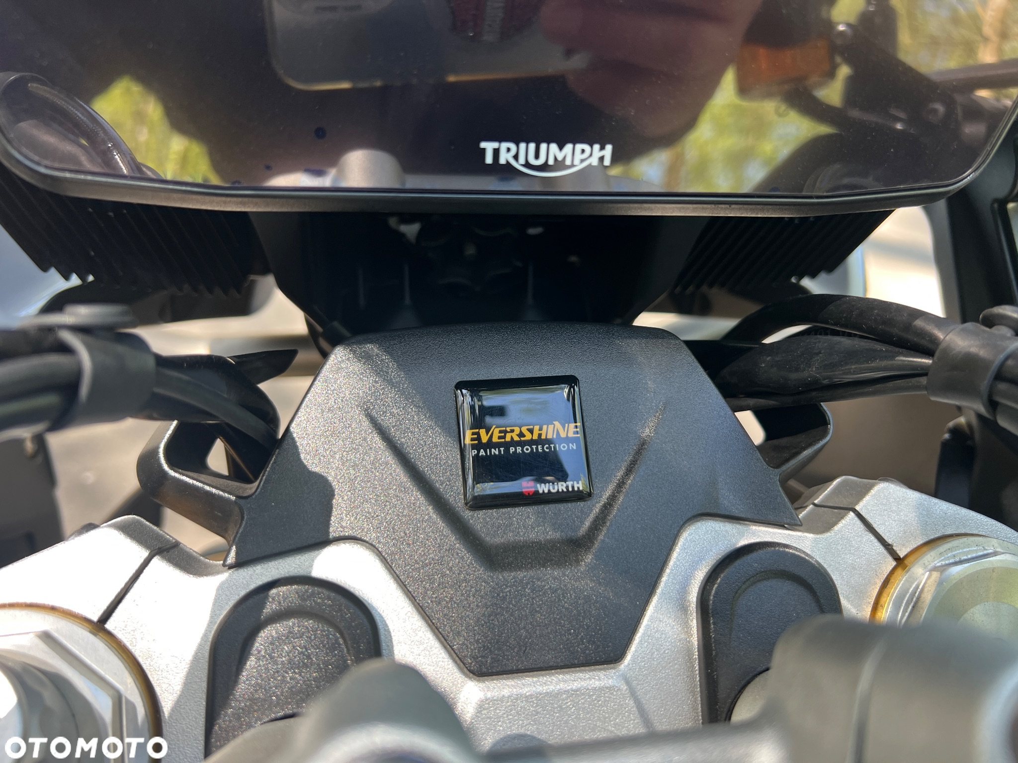 Triumph Tiger - 29