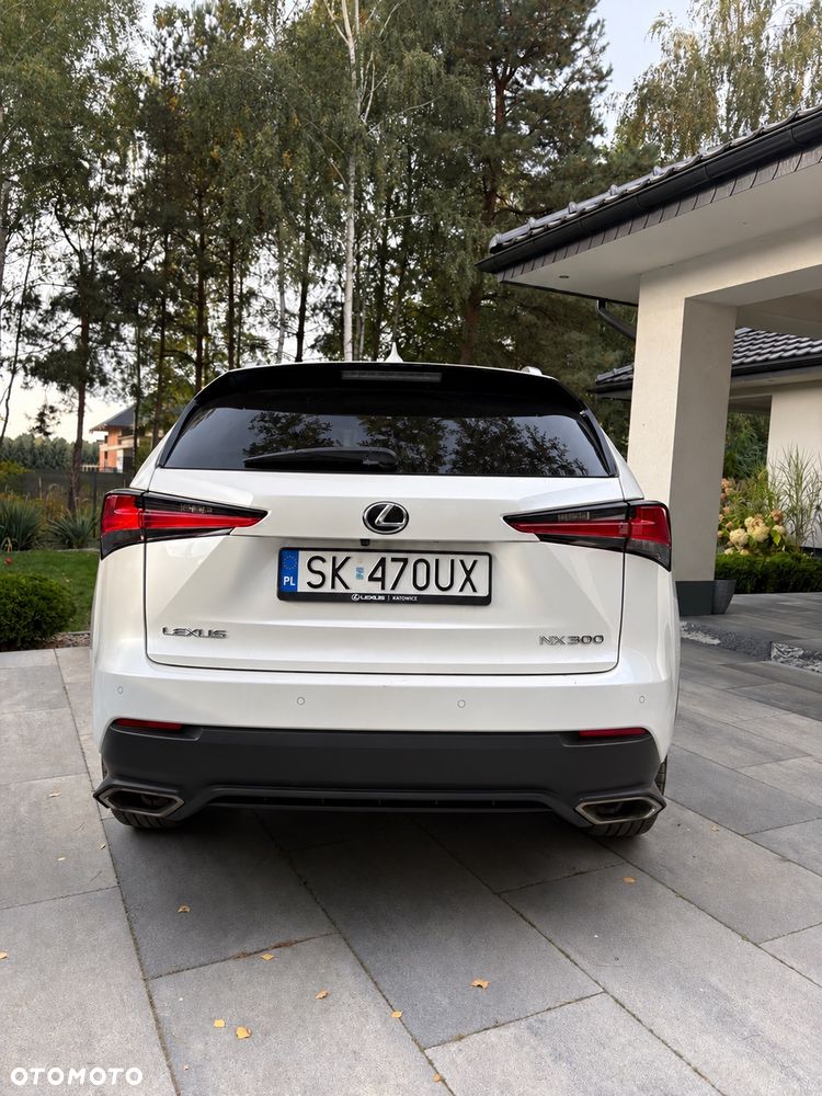 Lexus Nx 2021 photo 3