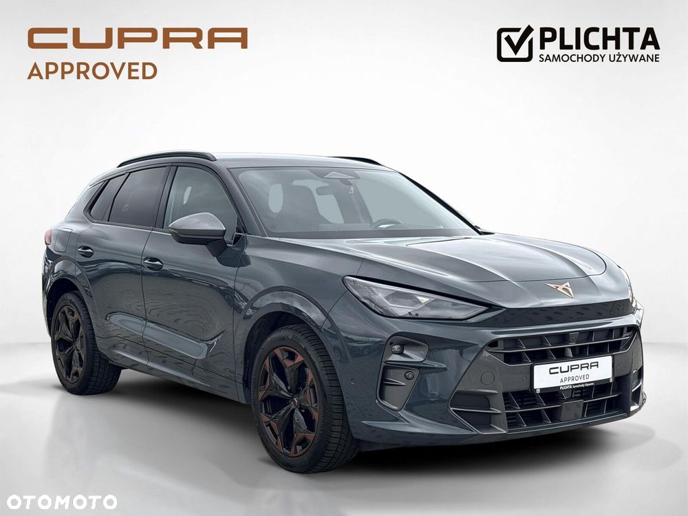 Cupra Terramar - 8