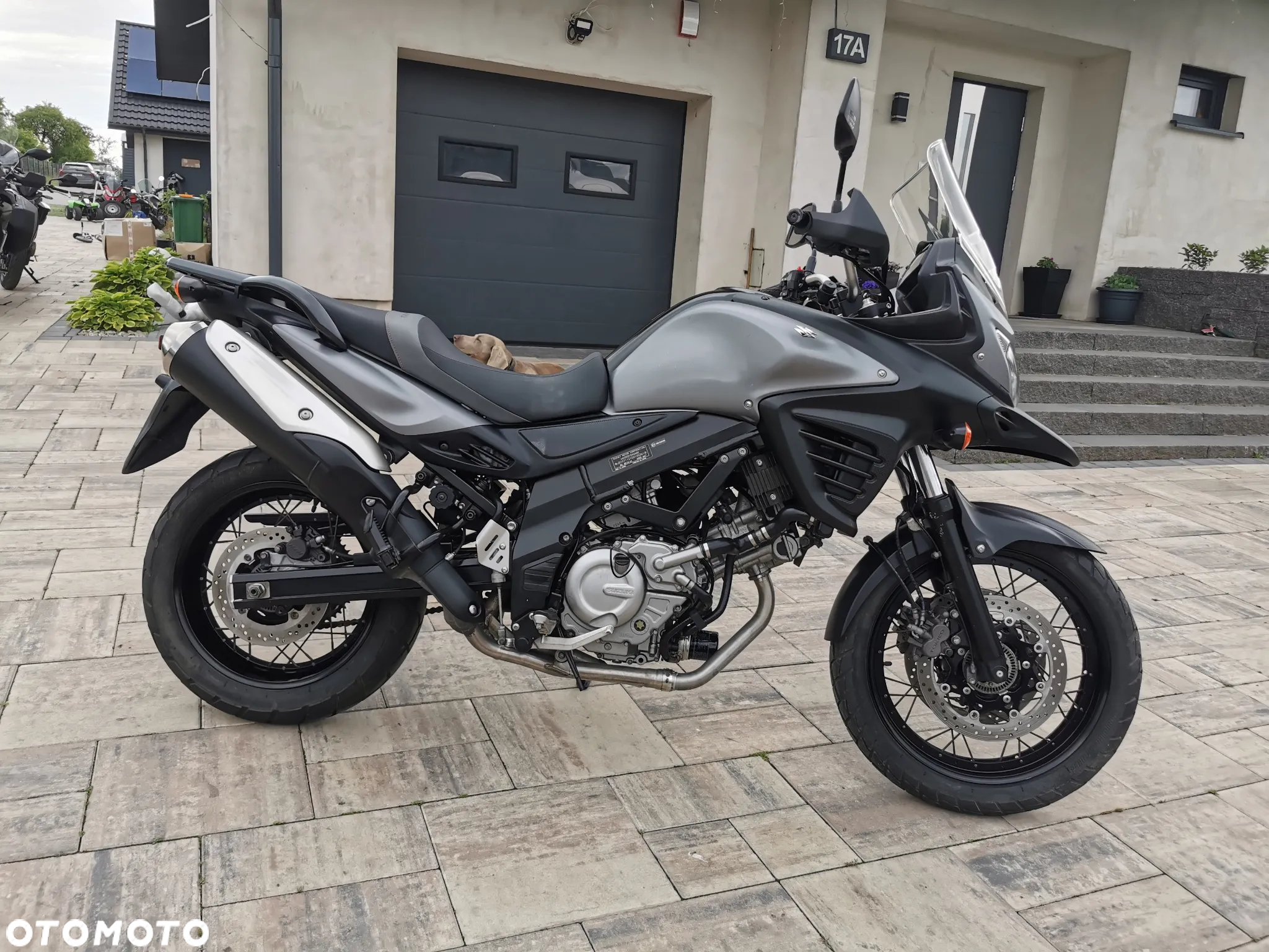 Suzuki DL - 6