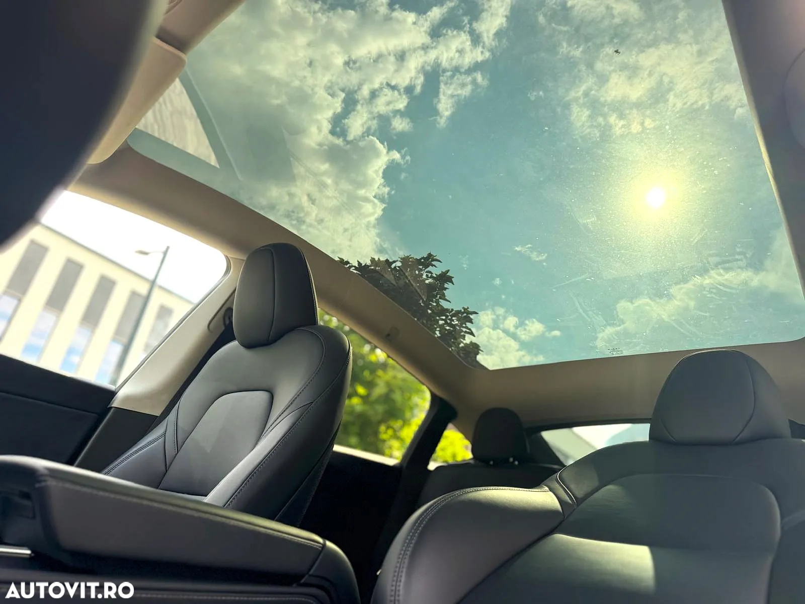 Tesla Model Y RWD - 17