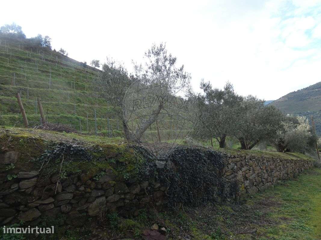 Terreno  para venda - Grande imagem: 2/14