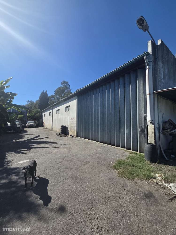 Pavilhão / Armazém / Oficina - Grande imagem: 2/5