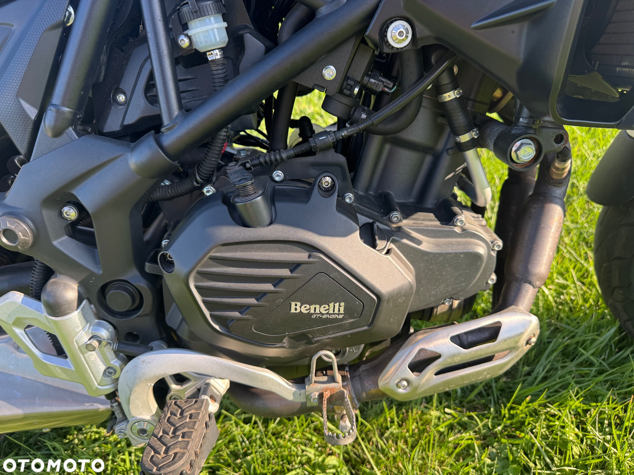 Benelli TRK 502 - 10
