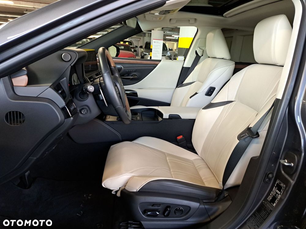 Lexus ES 300h Omotenashi - 11
