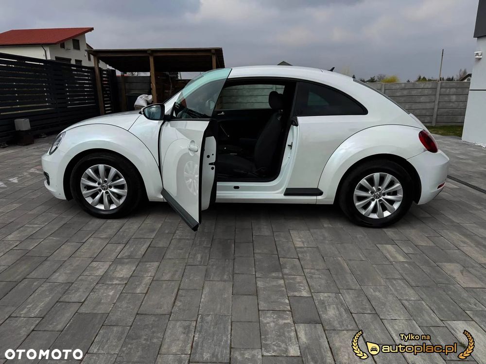 Volkswagen Beetle - 27