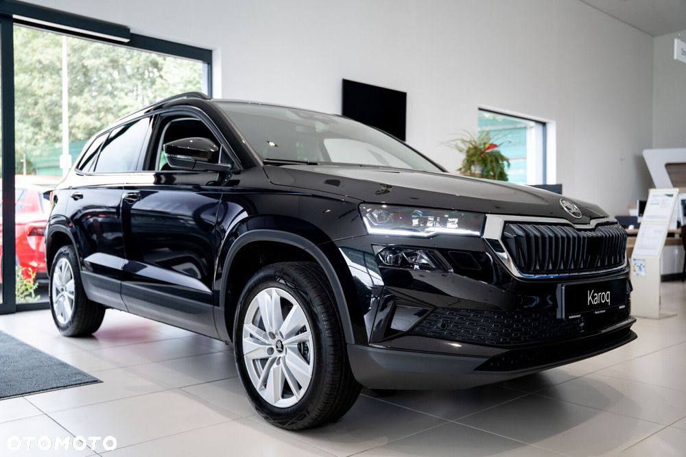 Skoda Karoq - 2