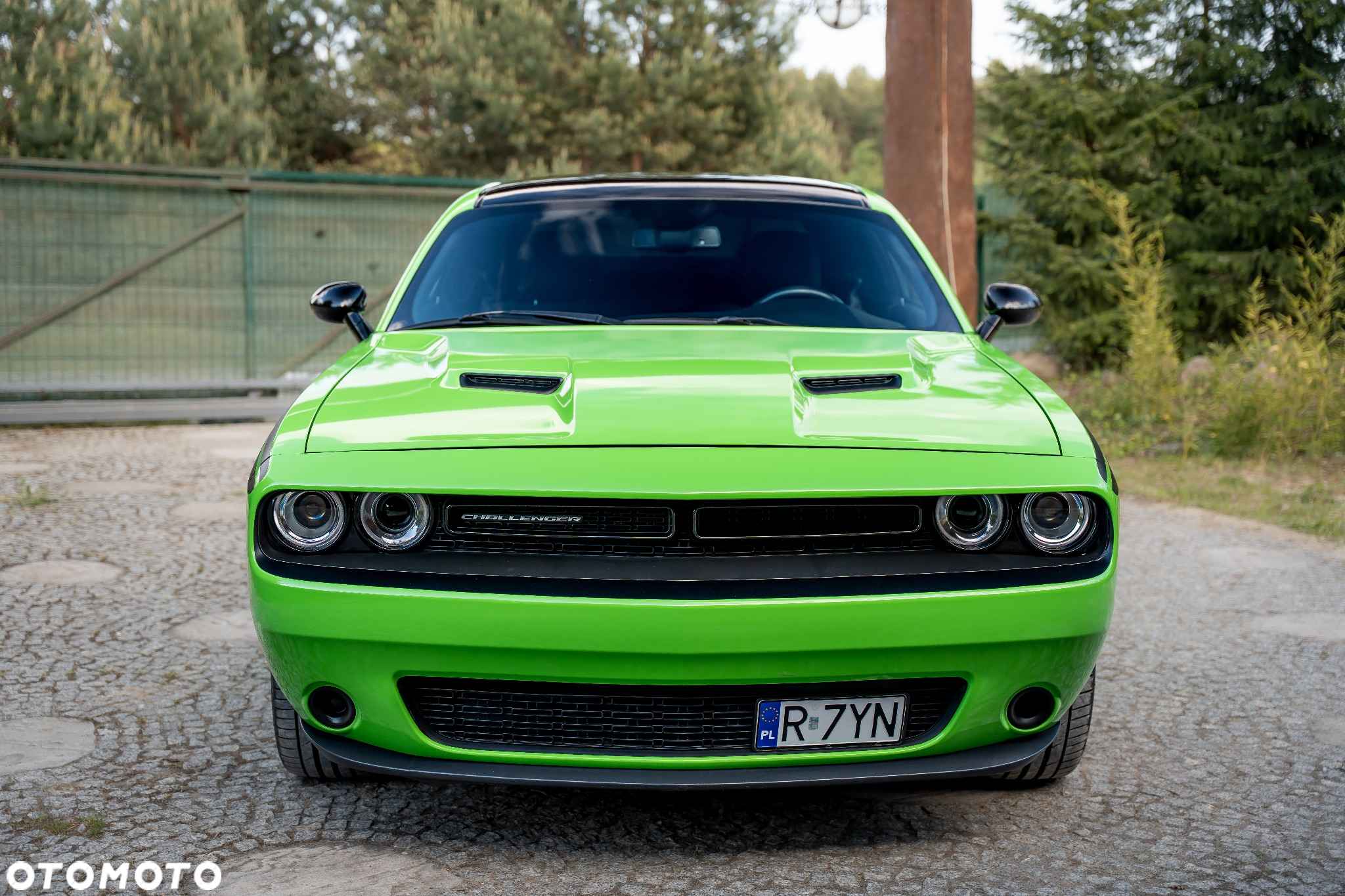 Dodge Challenger Automatik SXT Plus - 6