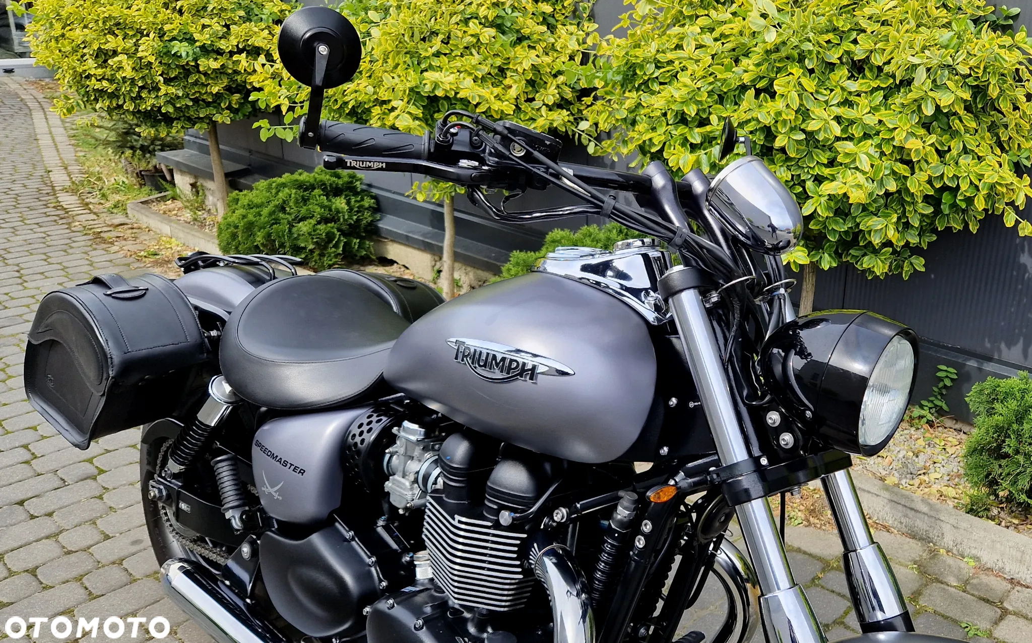 Triumph Speedmaster - 12