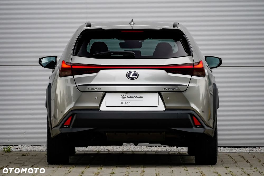 Lexus UX 250h GPF F Impression 2WD - 21