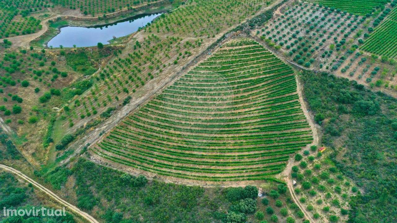 Terreno  para venda - Grande imagem: 3/9