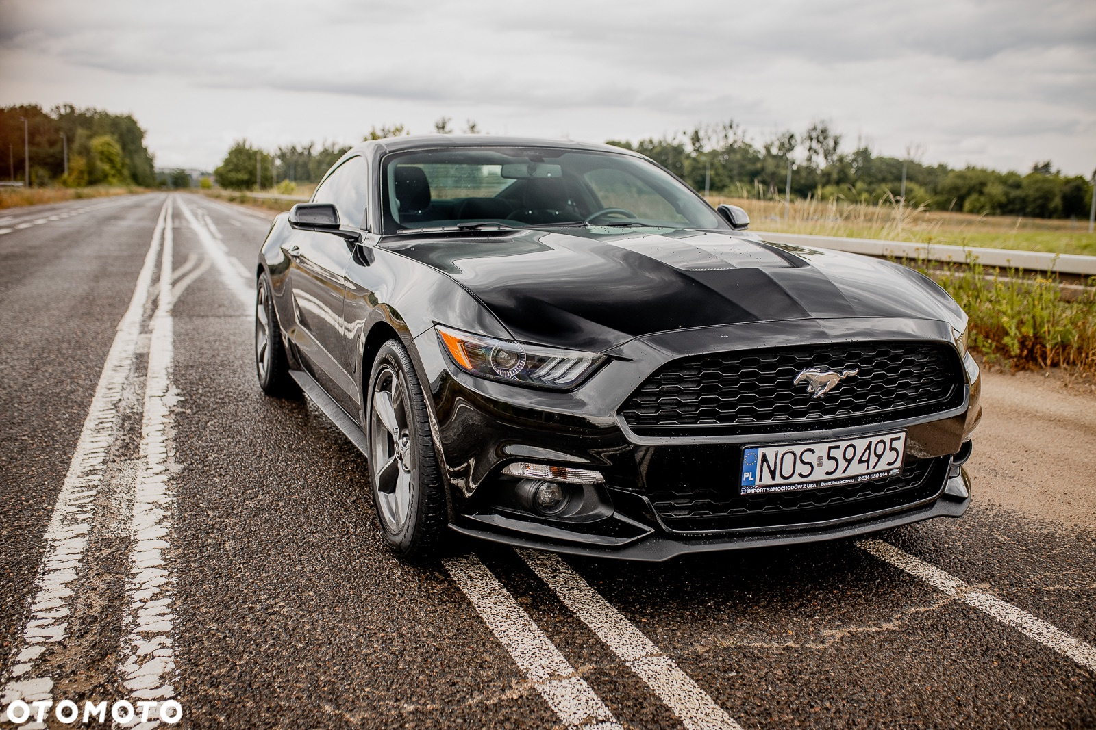 Ford Mustang 2.3 EcoBoost - 16